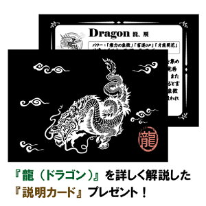 【一点物】チベット密教龍(ドラゴン)彫刻天珠中国紐ネックレス長さ調整可能|チベット密教アクセサリー|DZIBEADS【送料無料】