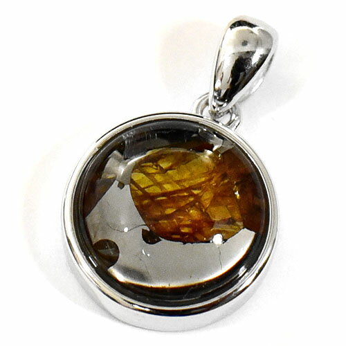 【一点物】パラサイト隕石(石鉄隕石) スターリングシルバー ペンダントトップ 幅：14mm【送料無料】