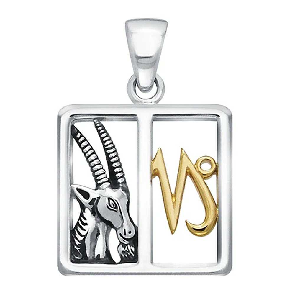 【PETER STONE】黄道十二星座 山羊座(Capricornus) シルバー&ゴールドプレート ペンダントトップ 12月22日〜1月19日生まれ 西洋占星...