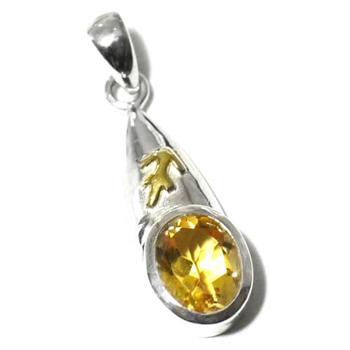 【PETER STONE】黄道十二星座 射手座(Sagittarius) シルバー&ゴールドプレート ペンダントトップ 11月22日〜12月21日生まれ 西洋占...