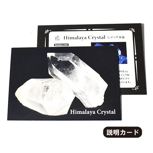 �ڰ���ʪ�ۥ��ͥå���ҥޡ��뻺 �ҥޥ��徽 �ɥޥˡ�Dzi�� ���ѷ� ����� ��������󥰥���С� �ڥ����ȥȥå� 5��9g��