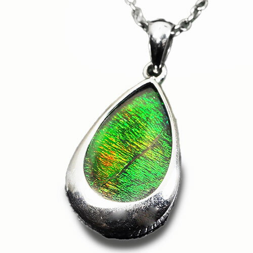 【一点物】アンモライト しずく型 スターリングシルバー ペンダントトップ【送料無料】