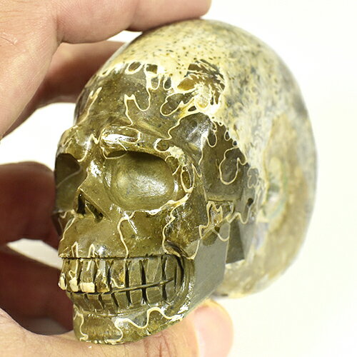 【一点物】アンモナイト化石 ヒューマンスカル（人間頭蓋骨） カービング（彫刻） 367g 白亜紀 マダガスカル産【送料無料】￢