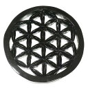 【一点物】フラワーオブライフ(生命の花)ブラック(黒) チークウッド カービング(彫刻) 壁掛け 直径:200mm【送料無料】¬