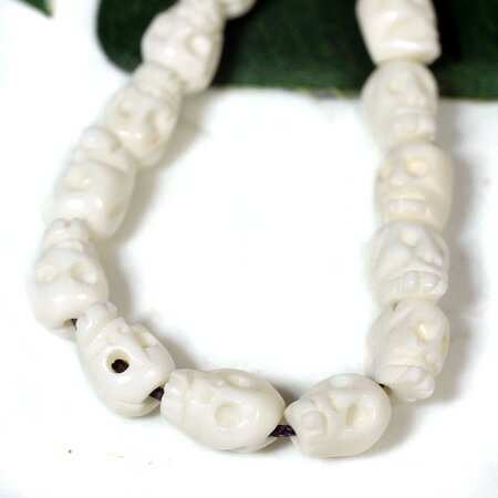 ���٥å�̩�� �䥯�ι� ������ʥɥ����� Ħ�� �ӡ��� 5�ĥ��å� �ۥ磻�� �����ӥ� ����ڥ᡼�����б��ġ�