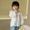 子供服 トップス 長袖 シャツ 無地 春秋新作 韓国風