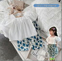 子供服夏服★女の子半袖シャツ+ズボン★ファッション2点セット ★韓国風子供夏服★90-140