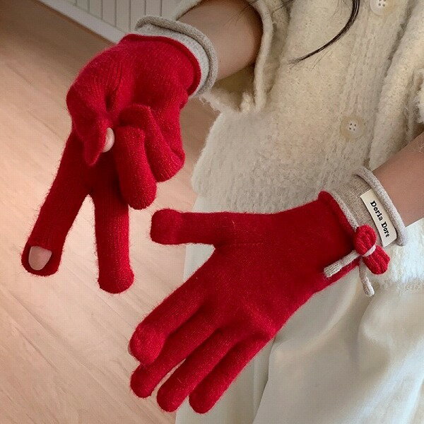 手袋 グローブ 5本指 毛糸 ニット 厚手 ウールライク レディース