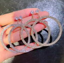 ファッション雑貨 レディース アクセサリー 飾り付け ピアス イヤリング