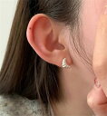 ピアス 新作 宴会場 洗練された プレゼント 純銀ピアス