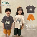 新作 韓国子供服 子供 キッズ 上下セットトップス tシャツ半袖 パンツ 半ズボン 夏 カジュアル