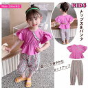 新作 韓国子供服 キッズ パフスリーブ クロップドパンツ 女の子 かわいい 上下セット2点セット