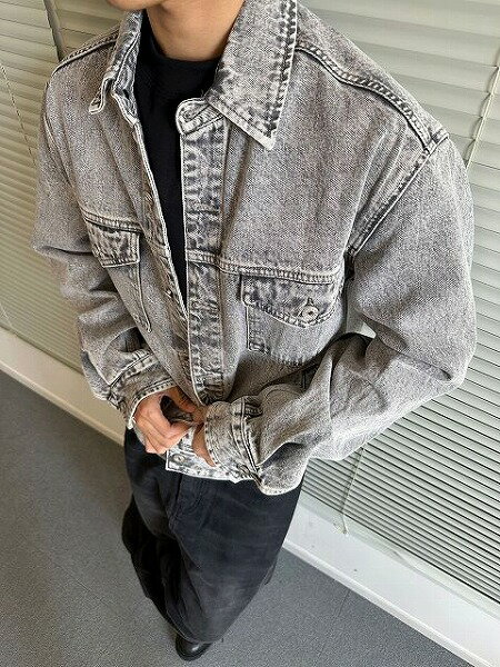 󥺥եå ǥ˥ 㥱å ˽ ȥ꡼ȷ  ս 2