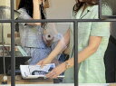 一味違っている 薄手 半袖 ショートパンツ セット ショートパンツ ピュアカラー スリム 快適である