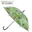 SP˽ѡHAPPY CLEAR UMBRELLA 饹եСӥˡ뻱JUNGLE 58cm ̶С񡡱å˥å졡졡컱ߤɤƩꥢ¤ӥˡ롡ڡդä