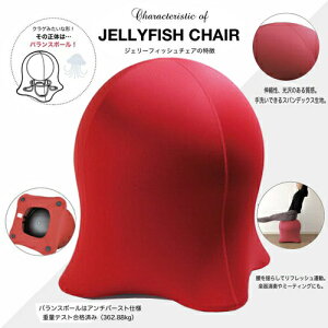 送料無料!!【DVD付　大人サイズ　JELLYFISH CHAIR　ジェリーフィッシュ　チェアー　RED 】おしゃれ　家具　チェアー　デザイン　デザイナーズ　バランス　ボールチェア　エクササイズ　バランスボール　フィットネス　イス　大サイズ　大人用　腹筋　ダイエット　体幹　北欧