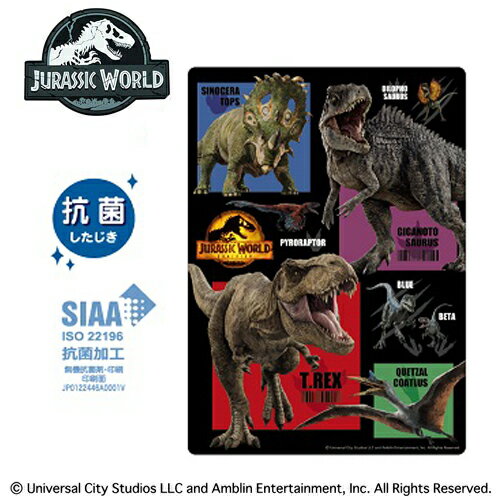 KJ【JURASSIC WORLD　抗菌　下敷　 日本製】キャラクター　グッズ　したじき　贈り物　文具　文房具　入学祝い　筆記具　筆記用具　入学　学習　勉強　下敷き　下じき　ジュラシックワールド　恐竜　恐竜柄　Tレックス　ティラノサウルス　ブルー