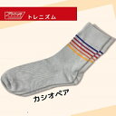RS【国鉄下 トレニズム 大人 ソックス カシオペア 25〜27cm】日本製 新幹線 新幹線グッズ 鉄道 電車グッズ 鉄道グッズ 電車 キャラ靴下 靴下 JR ...