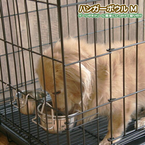 fwڥѡϥ󥬡ܥ M320ml311933Hǭ̡ͥѡ꡼ñ֡ǭڥåѡ 졡¡졡ܡ롡塡Ҥäóݤܥ