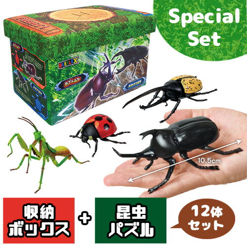 楽天PIRATES SHOP 楽天市場店送料無料【座れる　ふた付　収納　BOX　＋　12体セット　昆虫　4D パズル　フィギュア】ふた付　かぶと虫　ボックス　おもちゃ箱　かたずけ　グッズ　インテリア　ラック　おもちゃ　虫　蓋付き　カブトムシ　クワガタ　闘え　昆虫　バトル　BEETLE X　超リアル　ビッグ