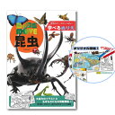 EM【動く図鑑 MOVE ぬりえ 昆虫】日本製 甲虫 カブト かぶと クワガタ くわがた むし 虫 ムシ 蝶 カマキリ 図鑑 塗り絵 ぬり絵 塗絵 知育 知育教材 知育玩具 色塗り 文具 文房具 入学祝い 絵本 お絵かき 学童用品