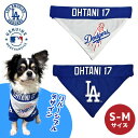 犬 tシャツ レディース おもしろ 母の日 プレゼント アメリカンコッカースパニエル 犬柄 Tシャツ 犬 オリジナル シャツ グッズ アメコカ 雑貨 誕生日 オーナーグッズ メンズ 可愛い オーダーメイド かわいい ギフト プレゼント