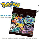 EM【POCKET MONSTERS テラパゴス BK コップ巾着 日本製 025】食事 雑貨 キャラクター お弁当 おべんとう 弁当 ランチ グッズ コップ袋...