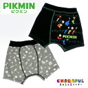 AR【★NEW ピクミン PIKMIN きゃらふる 2P インナー BK 110-130cm】下着 肌着 着替 パンツ ボクサー ブリーフ 男の子 男児 BAN...