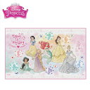 特価SK【ディズニー プリンセス レジャーシート 90×60 023】ピクニック シート ひとり用 小さめサイズ 敷物 シート 遠足 行楽 お花見 運動会 ピクニック 子ども こども 子供 Disney アリエル ベル ラプンツェル 白雪姫 シンデレラ オーロラ姫