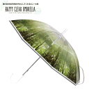 【HAPPY CLEAR UMBRELLA グラスファイバー　ビニール傘　グリーンフォレスト　58cm　HHLG2080】通勤　通学　雨具　雨傘　可愛い　おし..