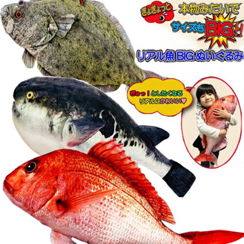 【リアル　魚　BIG　ぬいぐるみ　60cm】キャラクター　グッズ　ビッグ　でっかい　大きい　釣り　フィッシング　マスコット　海洋　水族館　特大　クッション　タイ　鯛　たい　釣り好き　魚屋　ふぐ　フグ　ヒラメ　ひらめ　寿司屋　すし　父の日　お店　ディスプレイ　鮮魚