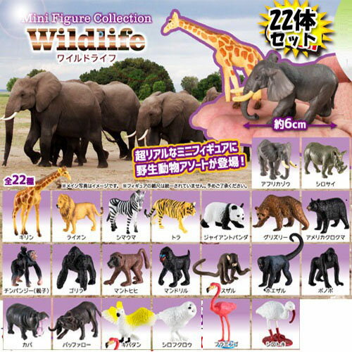 リアルな動物フィギュア!!22種セット!!【 ミニ フィギュア　コレクシ...