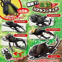 【5体セット リアル 昆虫 ギミック フィギュア 】甲虫 ヘラクレス オオカブト ミヤマクワガタ アトラスオオカブト ノコギリ 虫 ムシ カブトムシ クワガタ 模型 かぶと虫 夏 カブト ムシキング ヤマト おもちゃ 人形 オオカブト ディスプレイ 可動