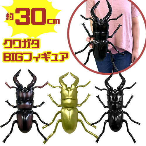ヤマトカブトムシセット ムシキング 美品 Www Mayfloweracademy Org