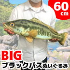 特価【BIG　ブラックバス　ぬいぐるみ　クッション 60cm】等身大　グッズ　でっかい　大きい　釣り　ジギング　水族館　特大　さかな　釣り　ゲイリーヤマモト　お店　ディスプレイ　魚　リアル　サイズ　ルアー　バス　アングラー　フィッシング　スズキ　オオクチバス