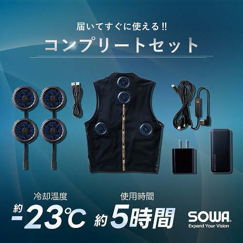 送料無料【 桑和 SOWA 2024年 新作 ペ...の商品画像