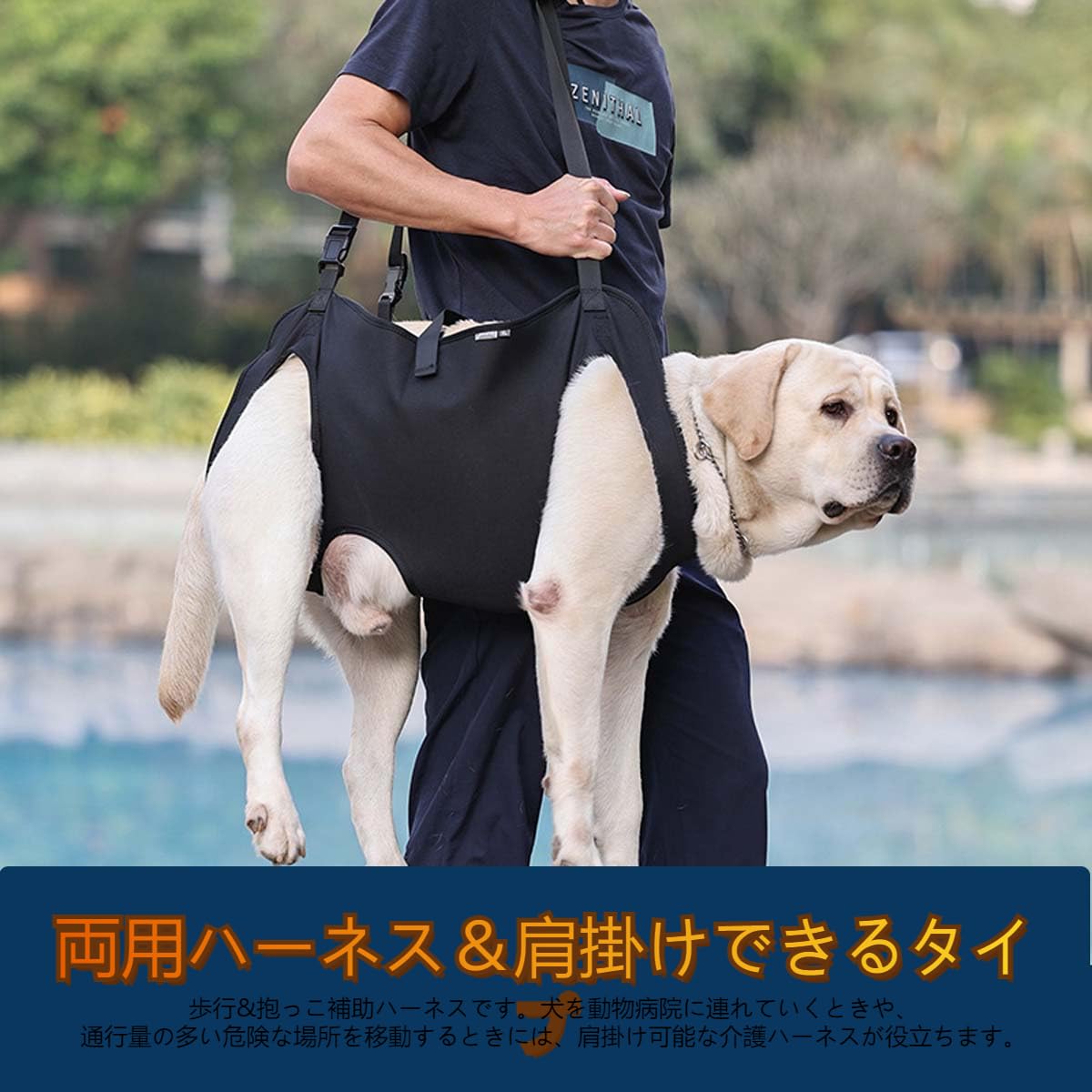 facial salon RAPPORTの犬用介護ハーネス 歩行補助 老犬介護用 歩行補助ハーネス 犬歩行 抱っこ補助ハーネス サポートハーネス お散歩 トイレが楽に歩行サポート 車や階段を乗る補助 調節しやすい小型犬 中型犬 大型犬 介護用品脱着簡単 お出かけ便利グッズ-M｜アングル3