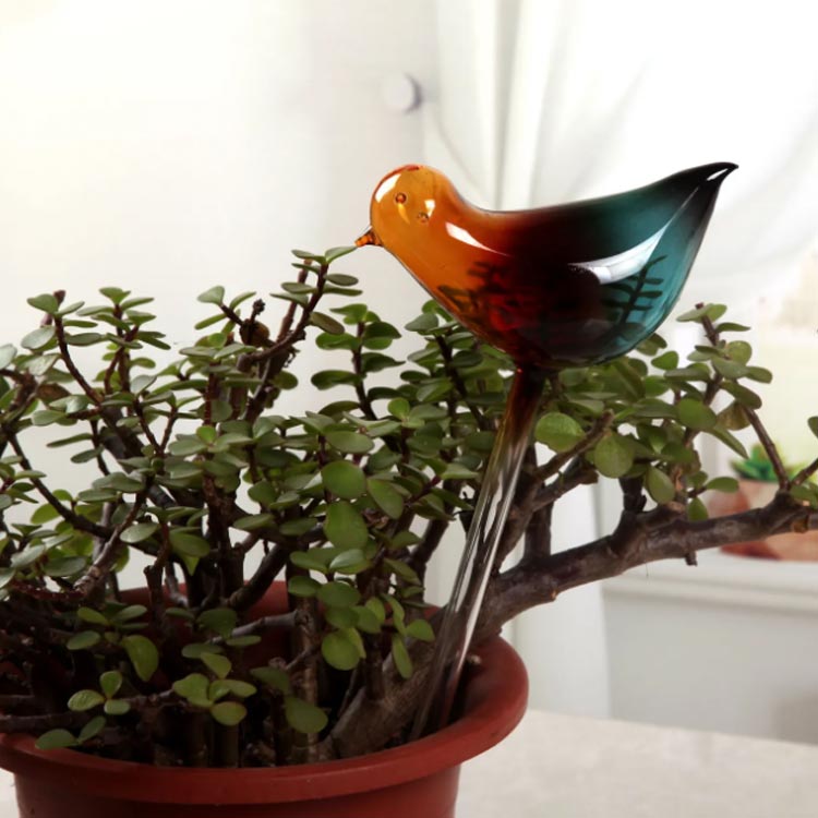 水差し 鉢植え 観葉植物 自動給水器 2個セット 自動水やり器 給水 カラー ガラス ...