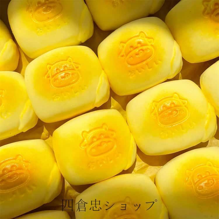 低反発大きいパンフワフワスクイーズかわいい大サイズスクイーズぬいぐるみスクイーズかわいいバラエティー水感スクイーズフード低反 rapport-select-10002855 rapport-select サンプル画像2