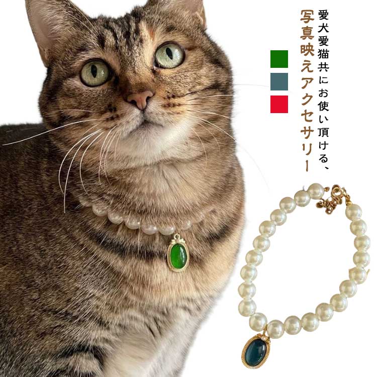 送料無料 ペット用 アクセサリー ネックレス チョーカー ラインストーン パール風 猫用 犬用 ペット用アクセサリー 首飾り キラキラ 高級感 おしゃれ きれいめ 上品 華やか 可愛い かわいい ジュエリー ファッション小物 ねこ ネコ 送料無料