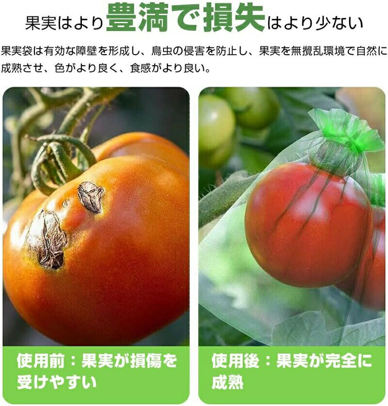 送料無料 果物保護袋 野菜 ネット 果物 園芸ネット 保護 防虫 防鳥 ネット 果実 保...