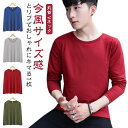 tシャツ 長袖 メンズ 