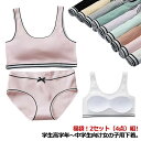 カップ付き 【福袋!2セット組!】パンツ ジュニアブラ ブラジャー 【福袋!2セット組!】パンツ レディース ガールズ ジュニア下着セット ブラ アンダーウェア...