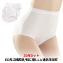 使い捨て パンツ 綿 20枚入 海外旅行用品 ショーツ コットン 女性用パンツ ショーツ パンツ 肌に優しい 通気性抜群 EOガス滅菌済 大きいサイズ 使い捨てショーツ