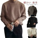 タートルネック メンズ 秋 セーター タートルネック アウター 冬 長袖 トップス インナーニット ビジネス 柔らかい 伸縮性 フィット ハイネックセーター 男...