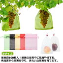 100枚入 リンゴ袋 ぶどう袋 果物 桃 緑色 防虫 大 ネット 果樹袋 ぶどう 鳥よけネット 保護 保護ネット 防虫 20×30 果物袋 りんご袋 びわ ネット ぶどう袋 巾着袋 鳥よけネット 果樹用防鳥ネット 果物保護バッグ 果実袋 イチゴ 鳥よけ 虫よけ カラス対策