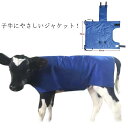 子牛 厚手 汎用 【Sサイズ】牛用防寒着 コート ミルク カーフ 乳牛 ジャケット 子牛 首サポート付 仔牛 保温 カーフジャケット 哺乳 哺育 授乳 給与 【...