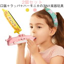 【2個セット】3in1 楽器玩具 子供用楽器 ハーモニカ 子供 おもちゃ 子ども 入門 初心者 楽器 音の出るおもちゃ 吹きやすい 男の子 女の子 赤ちゃん 肺活量育て 知育玩具 玩具 水洗い 2歳 3歳 4歳 5歳 6歳 7歳 8歳 誕生日 プレゼント 音楽教育 保育園 遊び