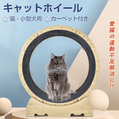 猫 トレッドミル キャットホイール 安い ローラー ルームランナー 回し車 観覧車