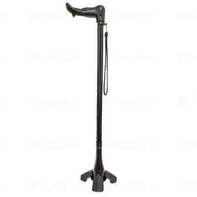 転ばぬ杖の先 つえたったべ